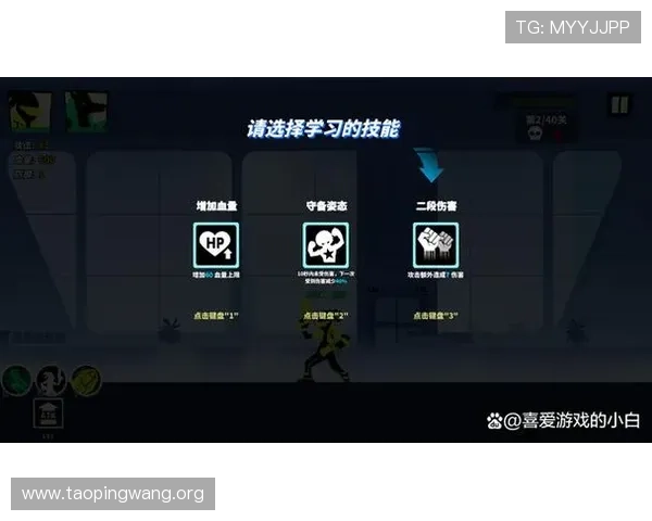 p客国际版与其他版本的区别分析，选择最适合你的游戏辅助工具